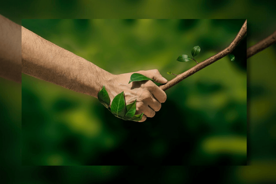 Nature's Gift: The Profound Benefits of Embracing Organic Products