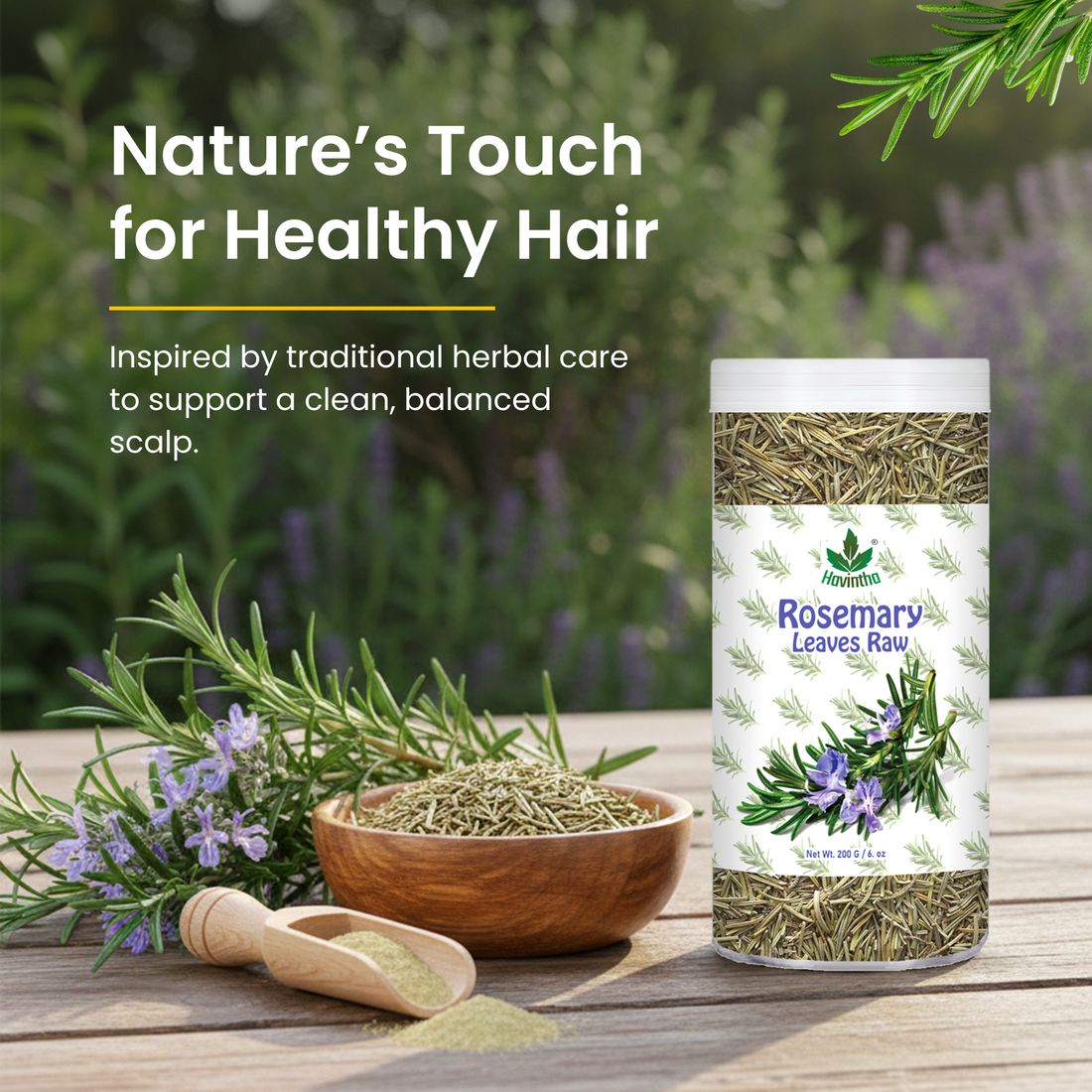 Havintha Natural Whole Rosemary Leaves | Rosemary Dried Leaves For Hair Growth | Premium Quality- JAR -200g