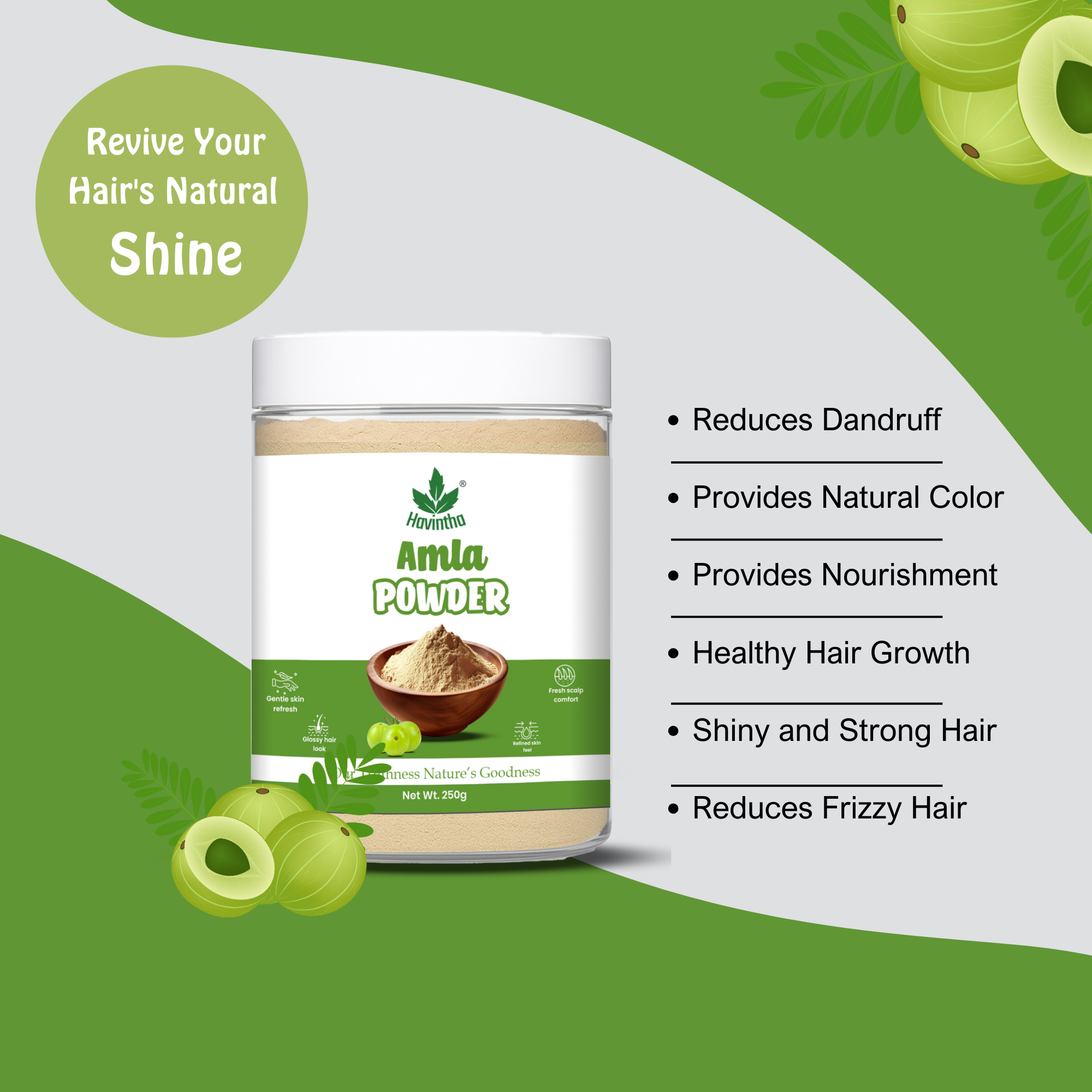 Havintha Natural Amla Powder | 250 Grams (JAR)