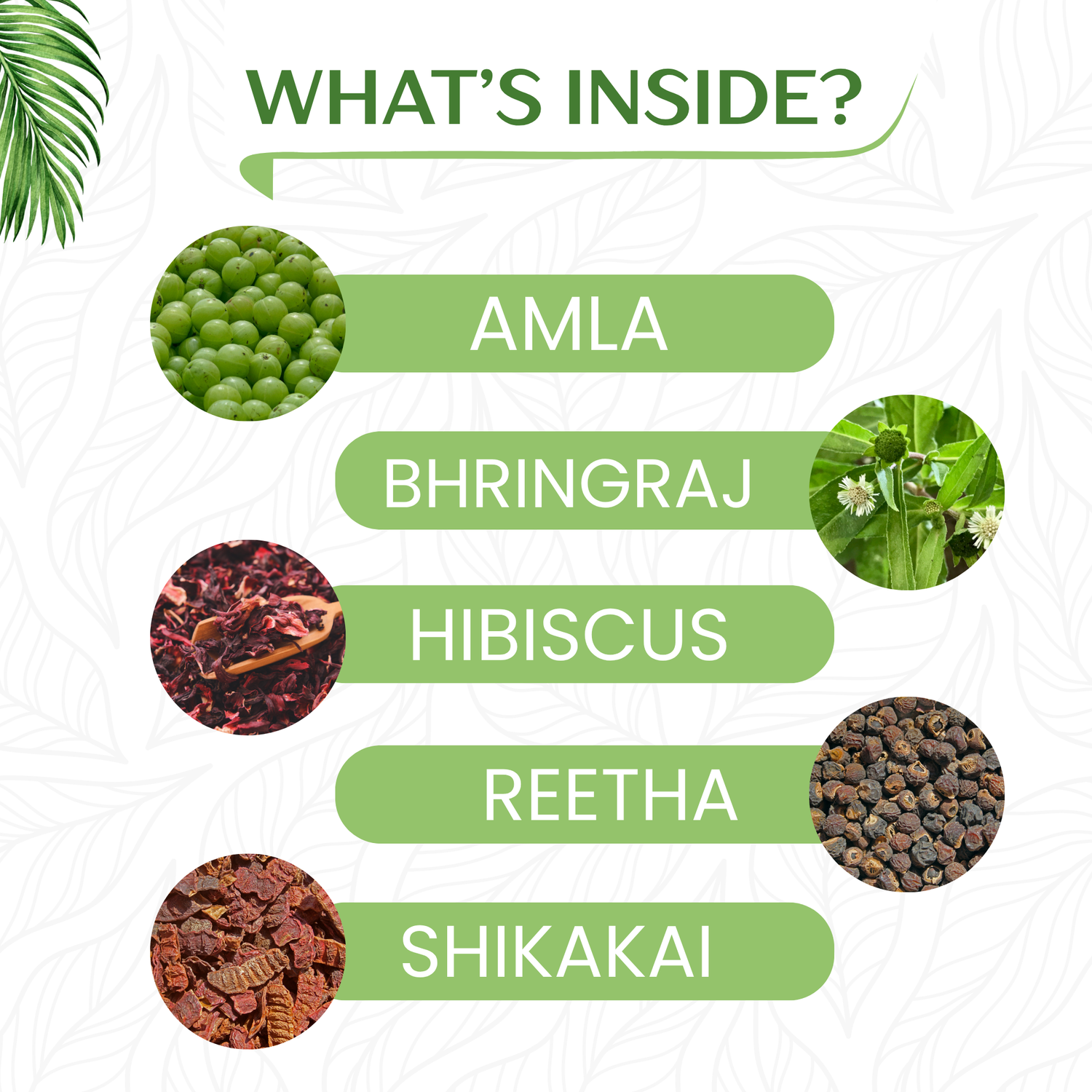 Havintha Amla Reetha Shikakai Bringraj & Hibiscus Powder For Hair - Each 250 Grams (Combo Pack of 5)
