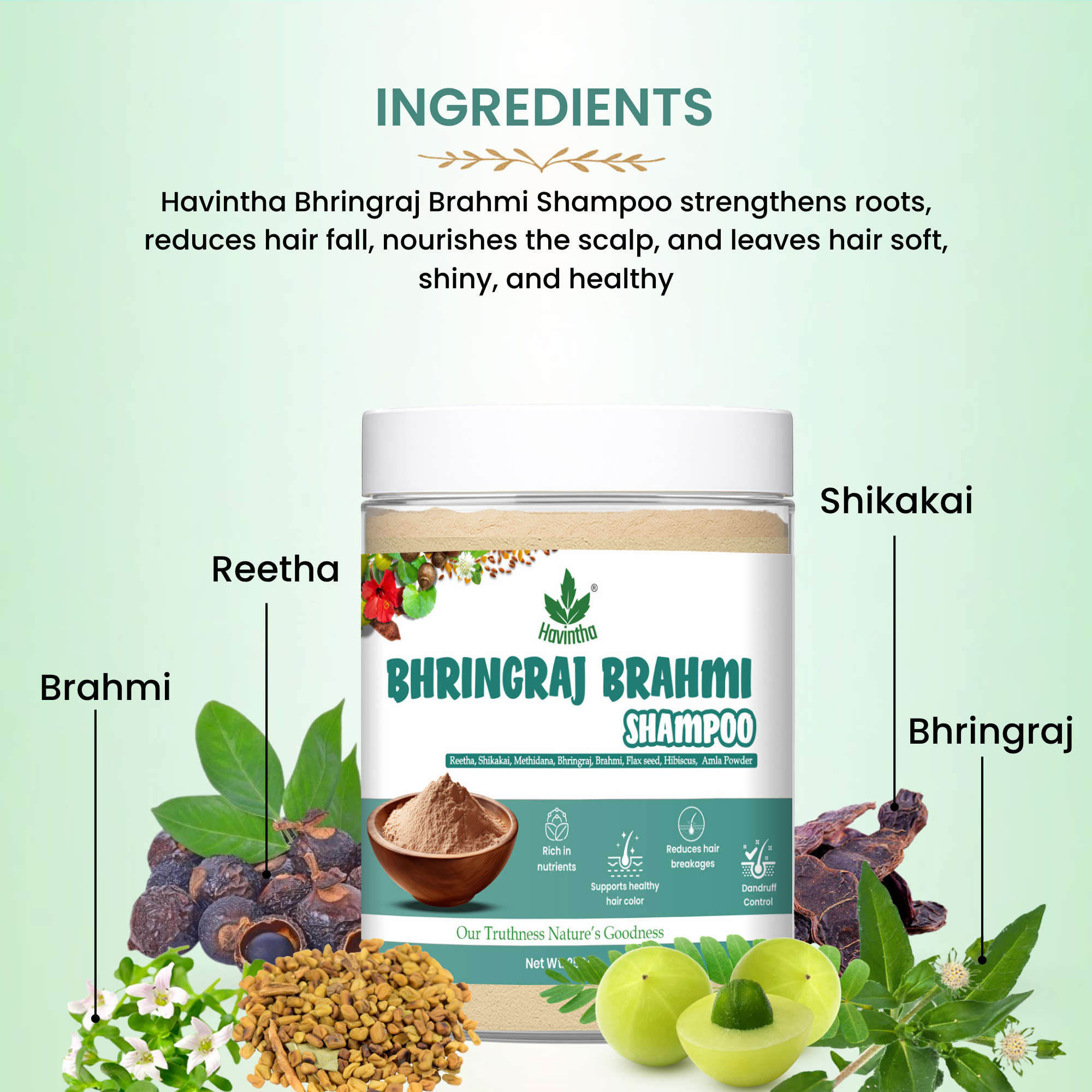 Natural Bhringraj and Brahmi Powder Shampoo | Fights Dandruff & Deeply Moisturizes Hair | Men & Women (250g)