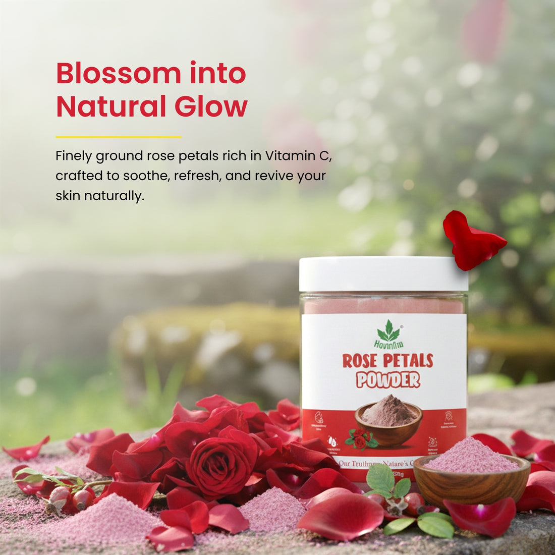 Havintha Natural Rose Petals Powder | For Skin Brightening | 250 Grams (JAR)