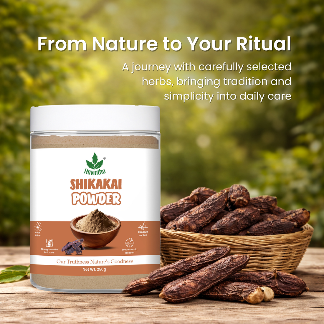 Natural Shikakai Powder | For Healthy Hair growth | Control Hair Fall | 250 Grams (JAR)