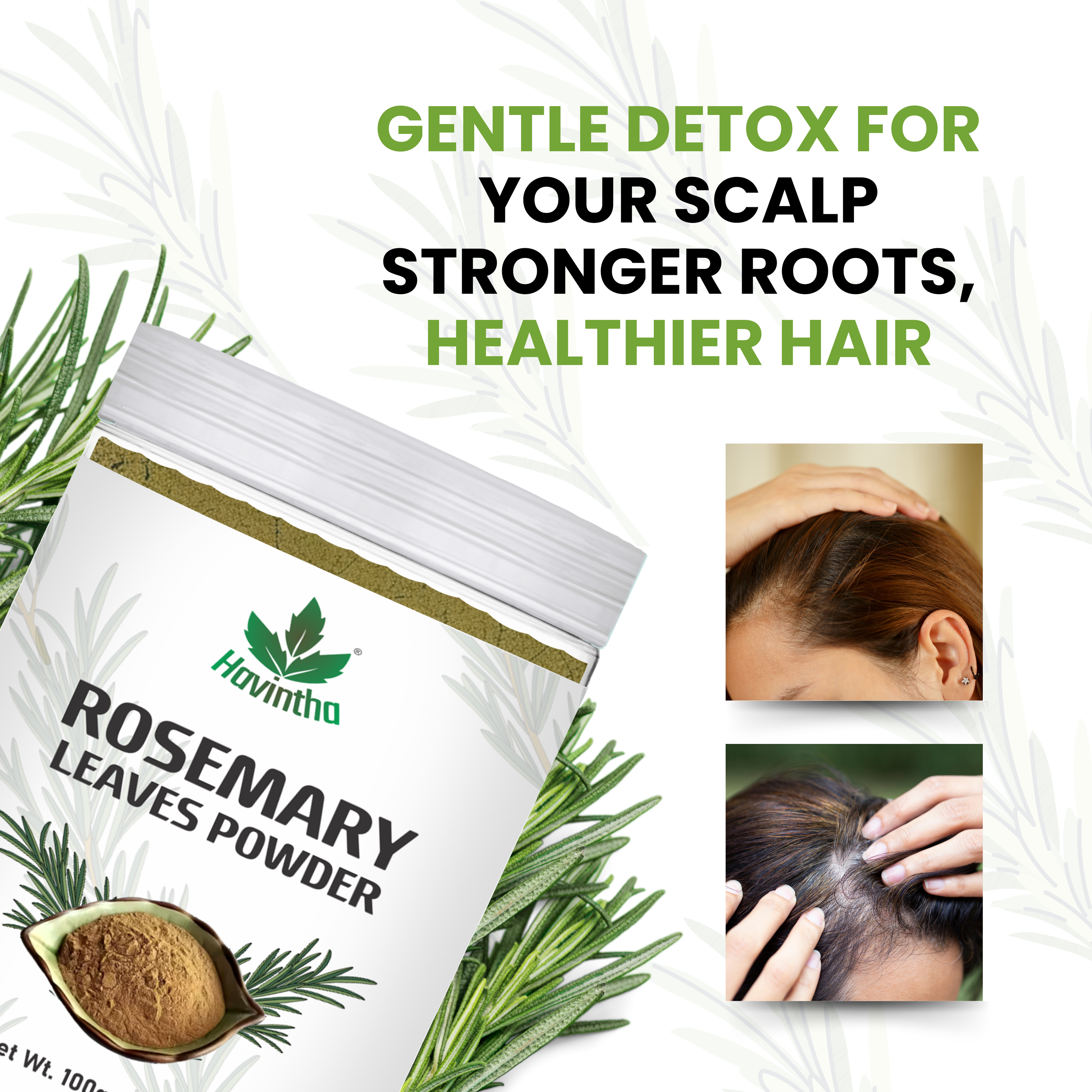 Havintha Natural Rosemary Powder For Shiny Hair|Rosemary powder for hair growth| Men & Women - 100gm