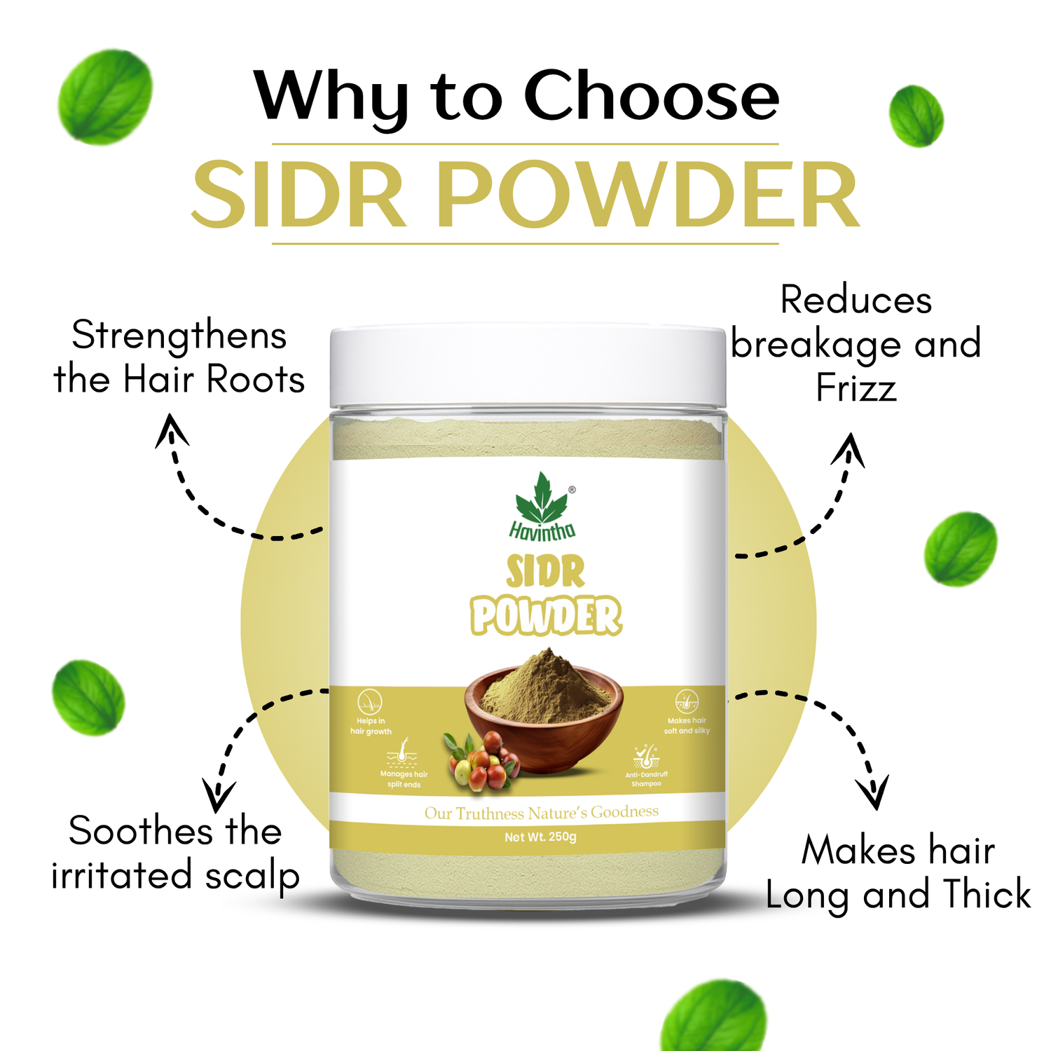 Havintha Herbal Sidr Leaves Powder 250gm | Natural Hair Cleanser & Conditioner | Dry & Damaged Hair Conditioning Hair Mask for Women and Men - 250g