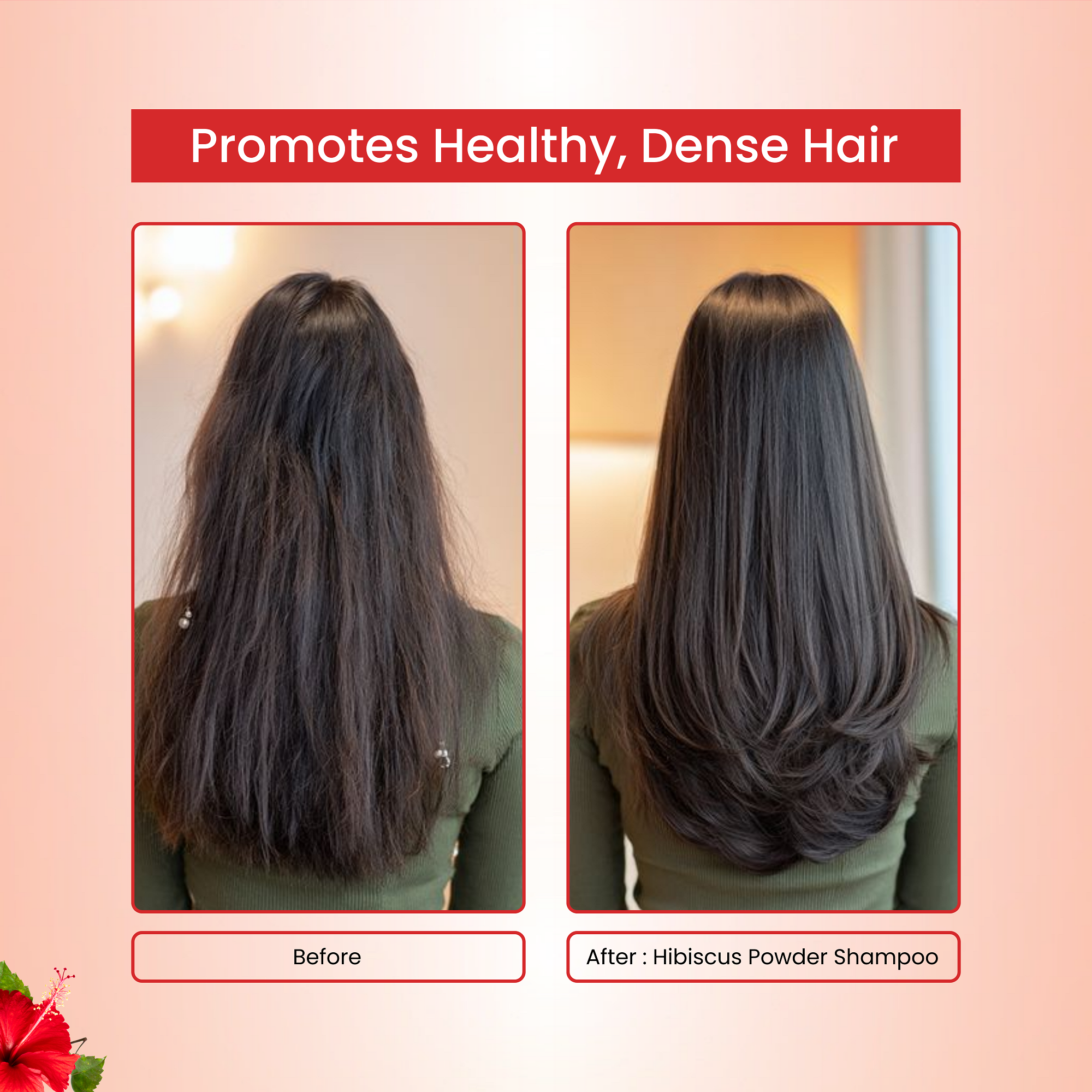 Natural Hibiscus Powder Shampoo | Prevents Hair Fall & Nourishes Lifeless Hair | for Overall Hair Growth | Men & Women (227g)