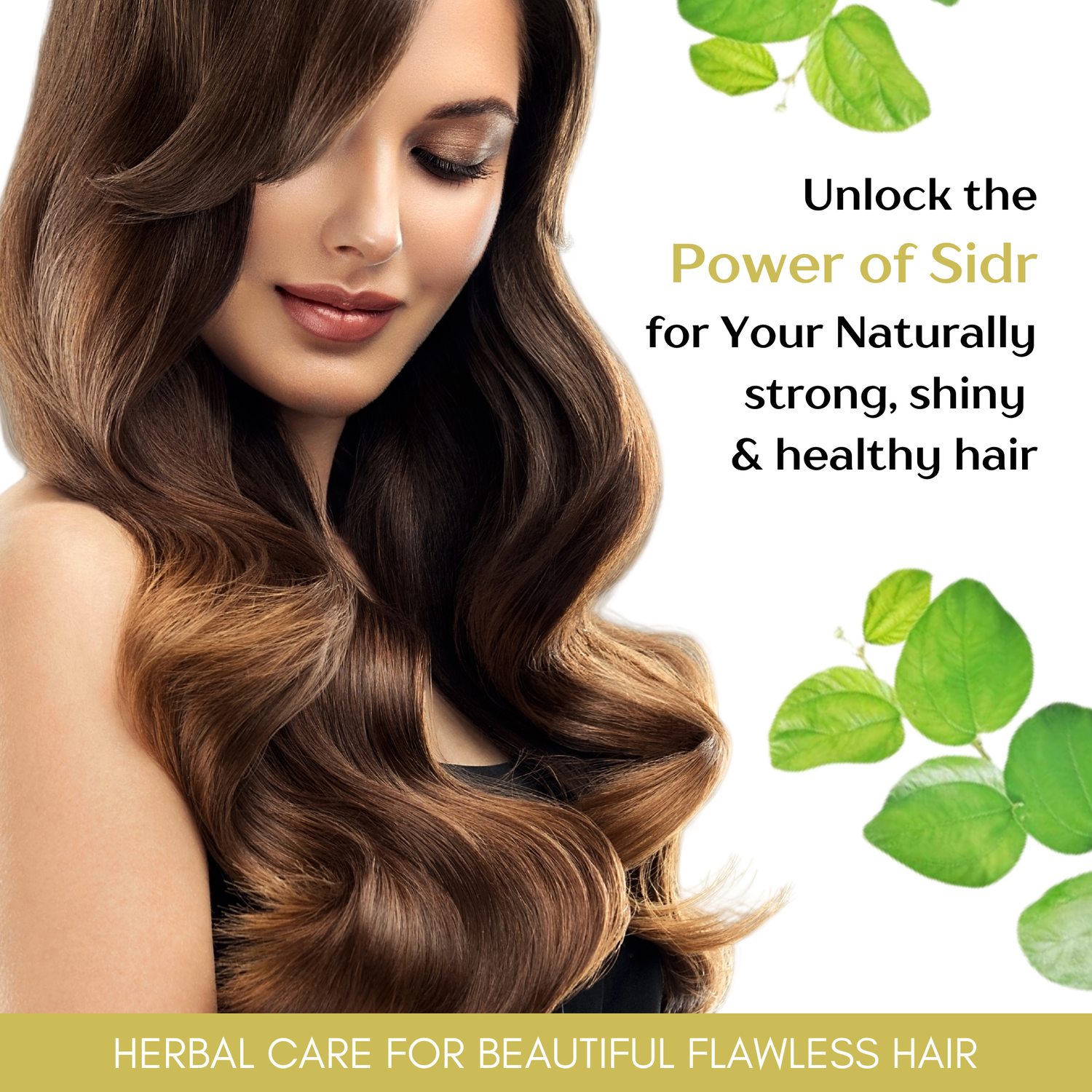 Havintha Herbal Sidr Leaves Powder 250gm | Natural Hair Cleanser & Conditioner | Dry & Damaged Hair Conditioning Hair Mask for Women and Men - 250g