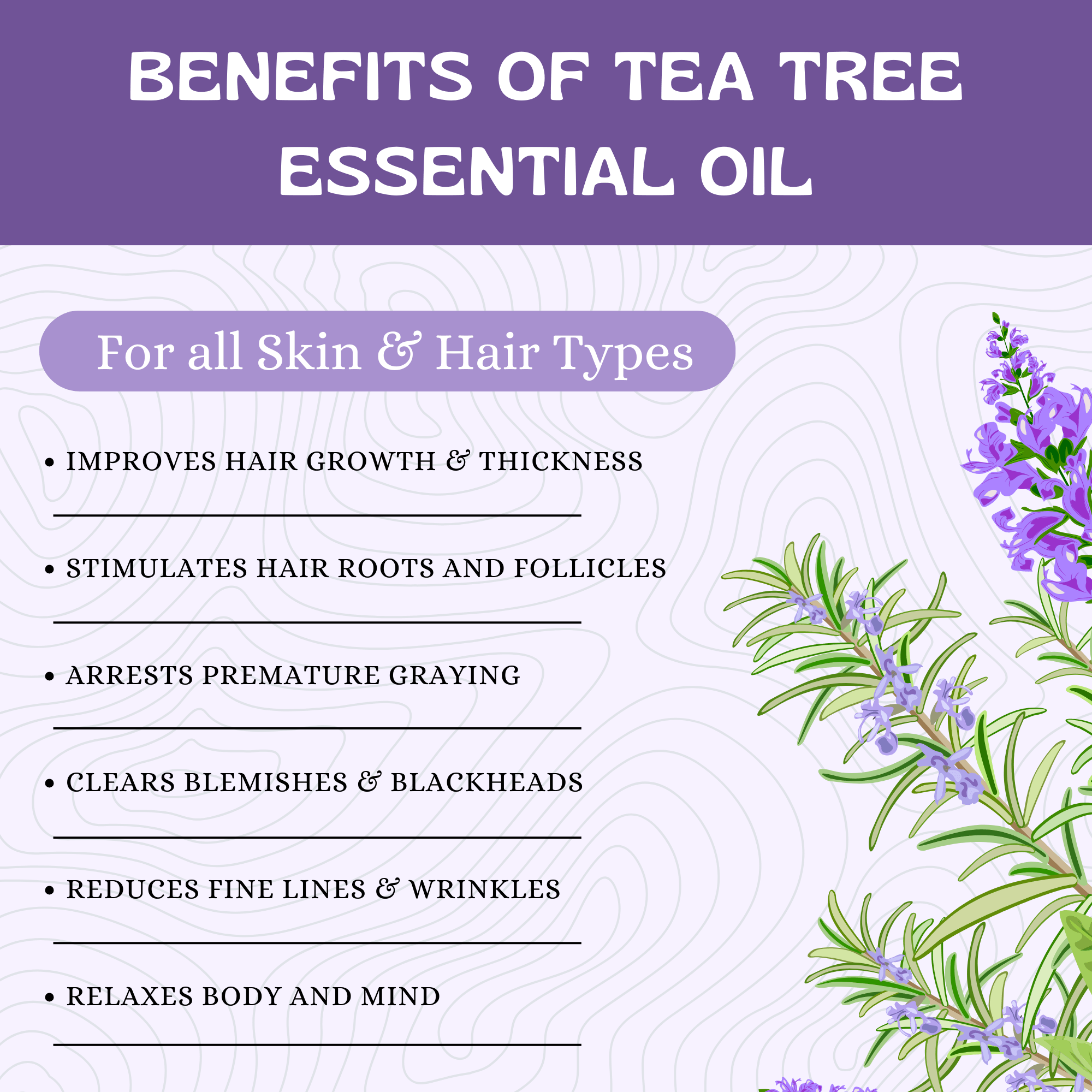 Havintha Natural Rosemary Essential Oil for Hair and Skin care | 100 % pure Aroma - 15 ml. (15 ml)