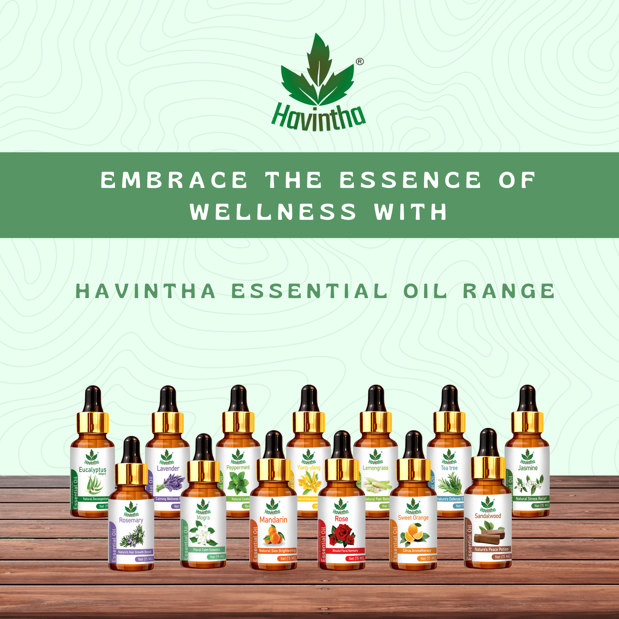 Haivntha Natural Mogra Essential Oil for Wound Healing, Nourishing Skin, Massage and Aromatherapy -15ml