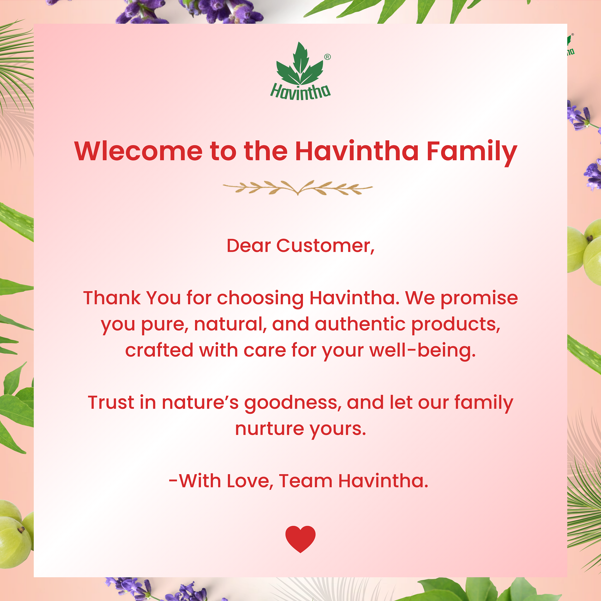 Natural Hibiscus Powder Shampoo | Prevents Hair Fall & Nourishes Lifeless Hair | for Overall Hair Growth | Men & Women (227g)