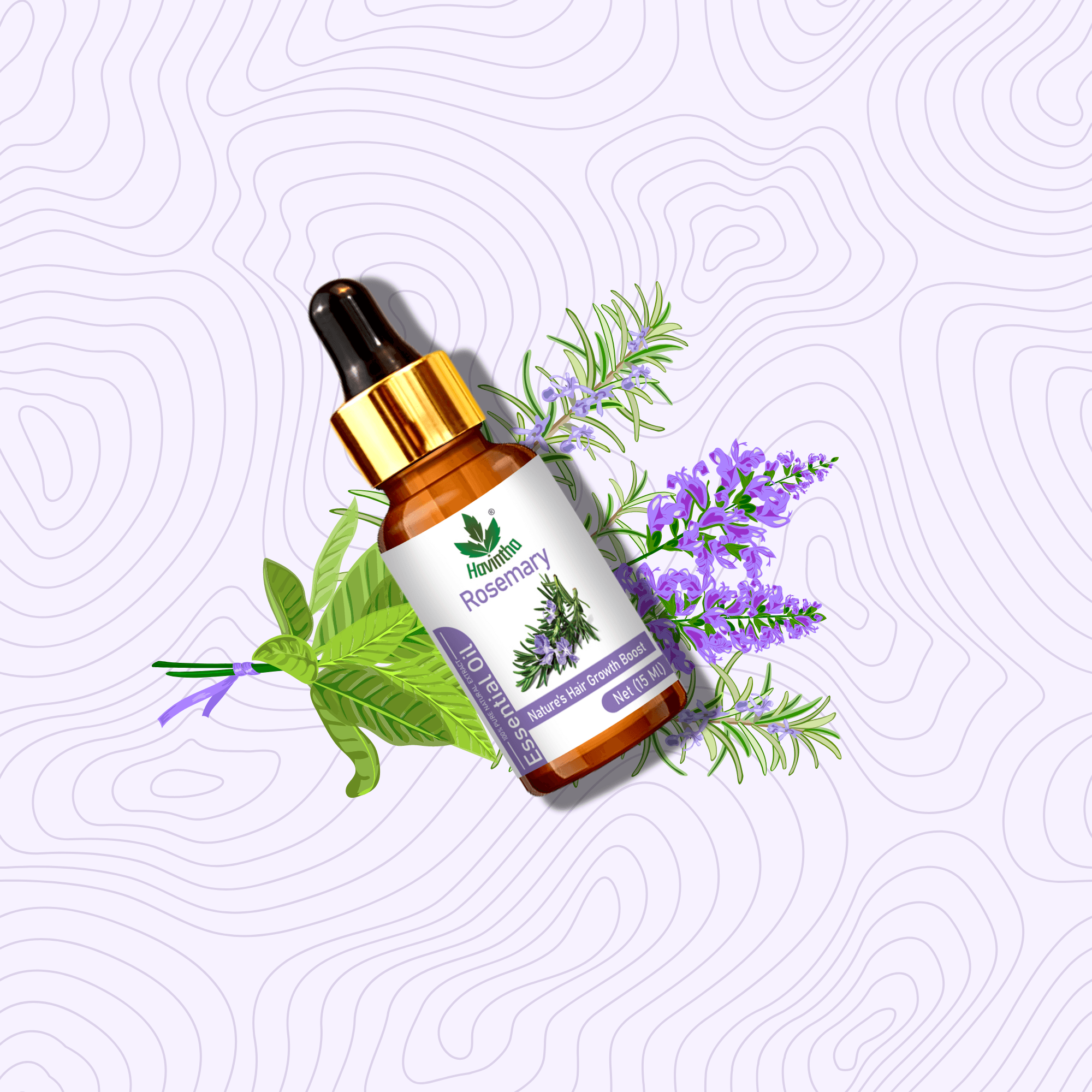 Havintha Natural Rosemary Essential Oil for Hair and Skin care | 100 % pure Aroma - 15 ml. (15 ml)