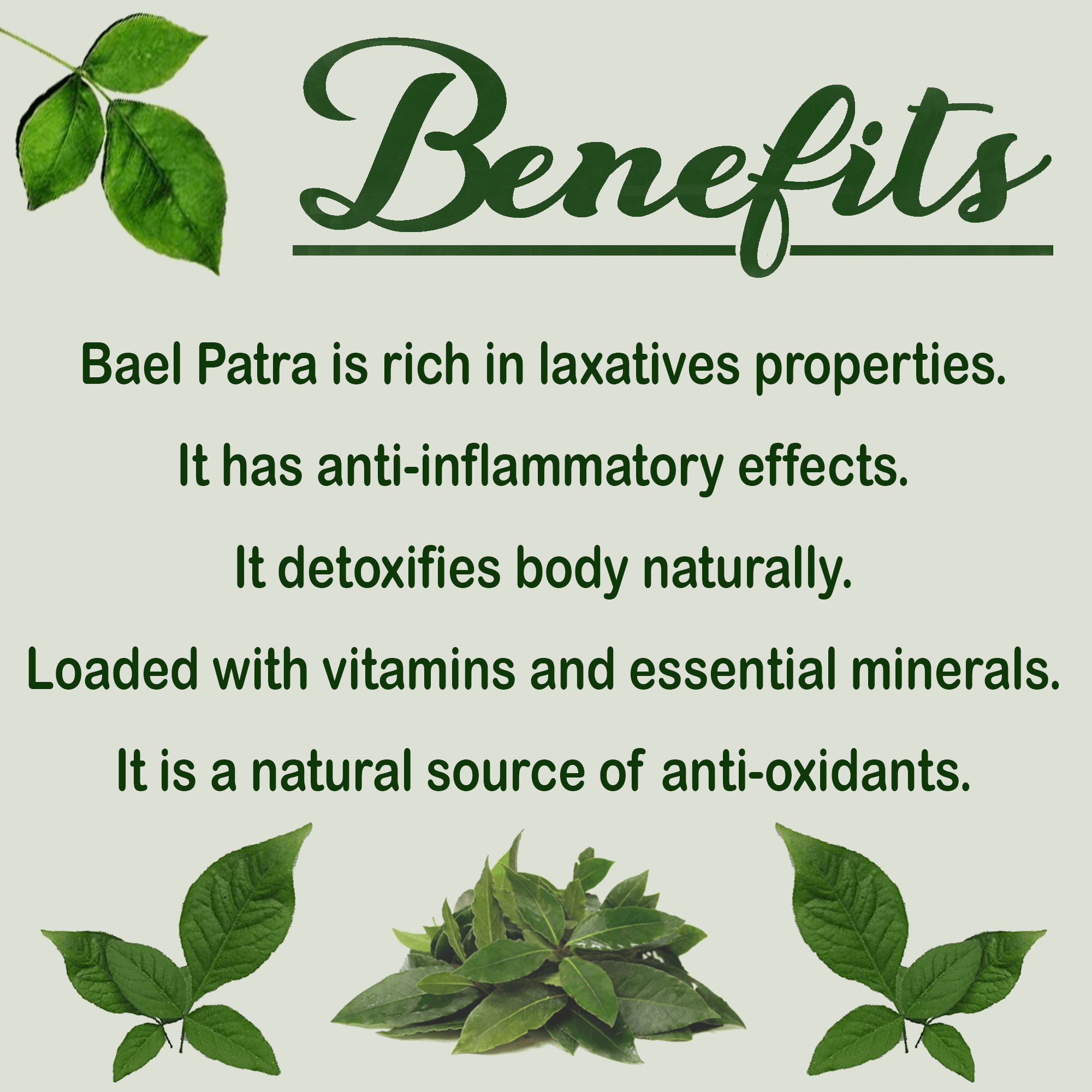 Havintha Natural Bilva Bael Patra/Leaf Powder | Aegle marmelos | Maintains the Healthy Blood Sugar Levels - 227 Grams