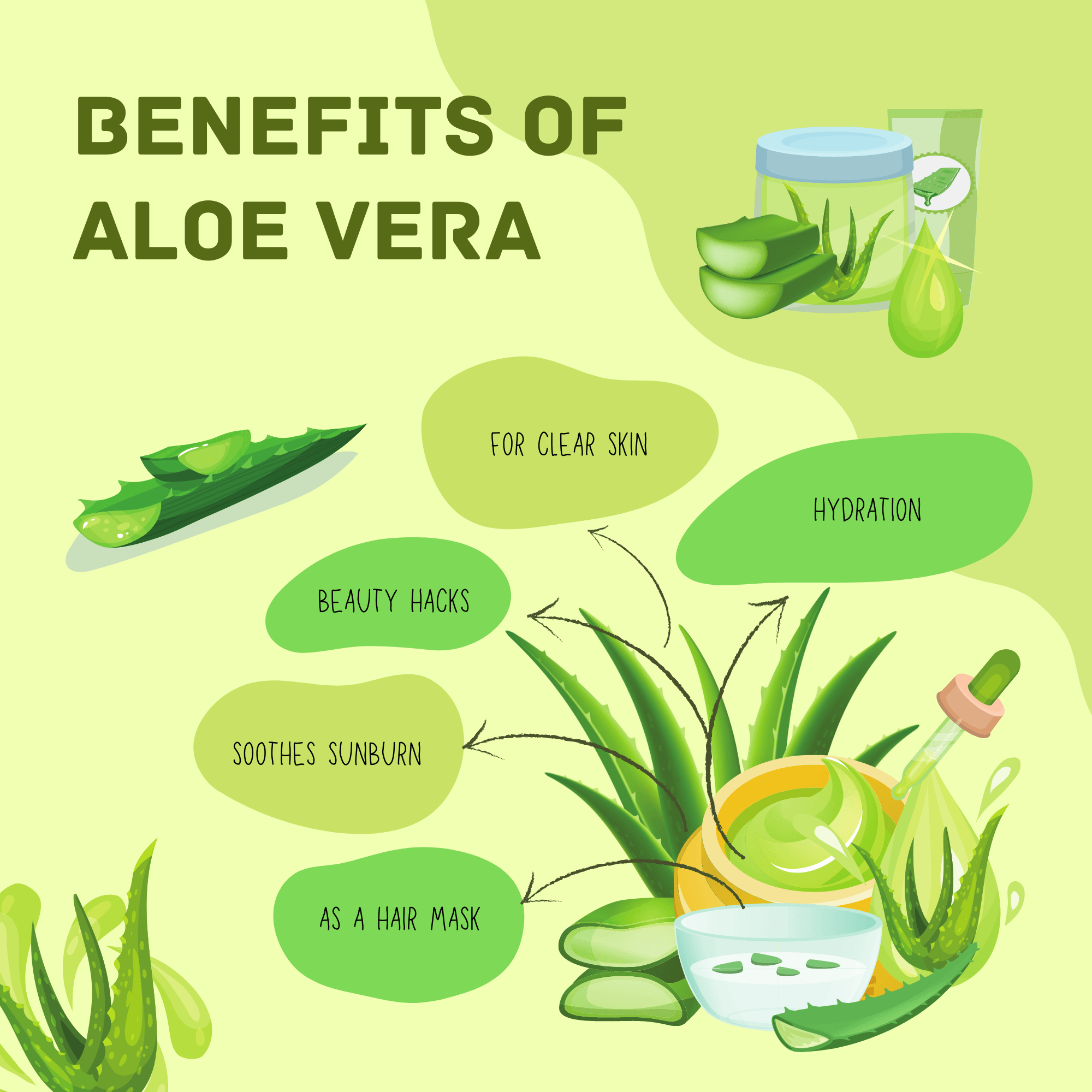 Havintha Natural Aloevera Powder for Hair Growth, Face Wash - 227 grams