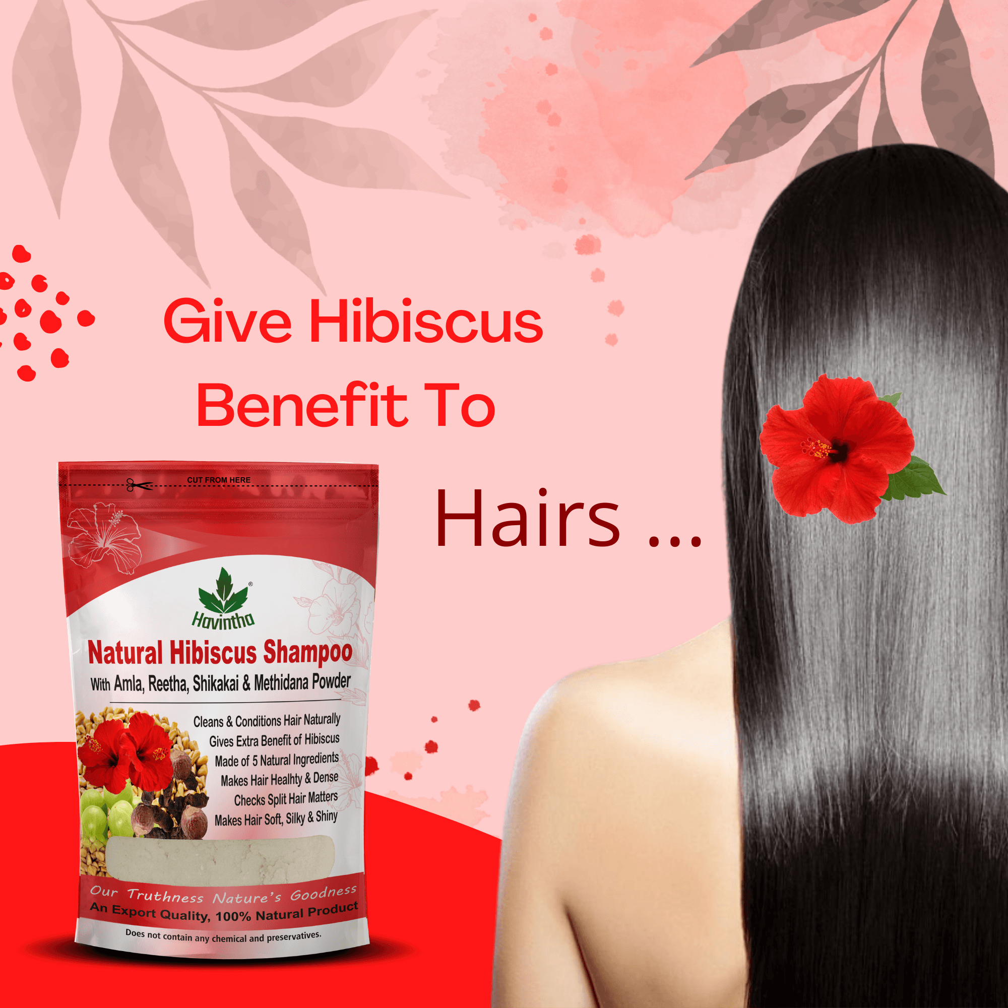 Natural Hibiscus Powder Shampoo | Prevents Hair Fall & Nourishes Lifeless Hair | for Overall Hair Growth | Men & Women (227g)