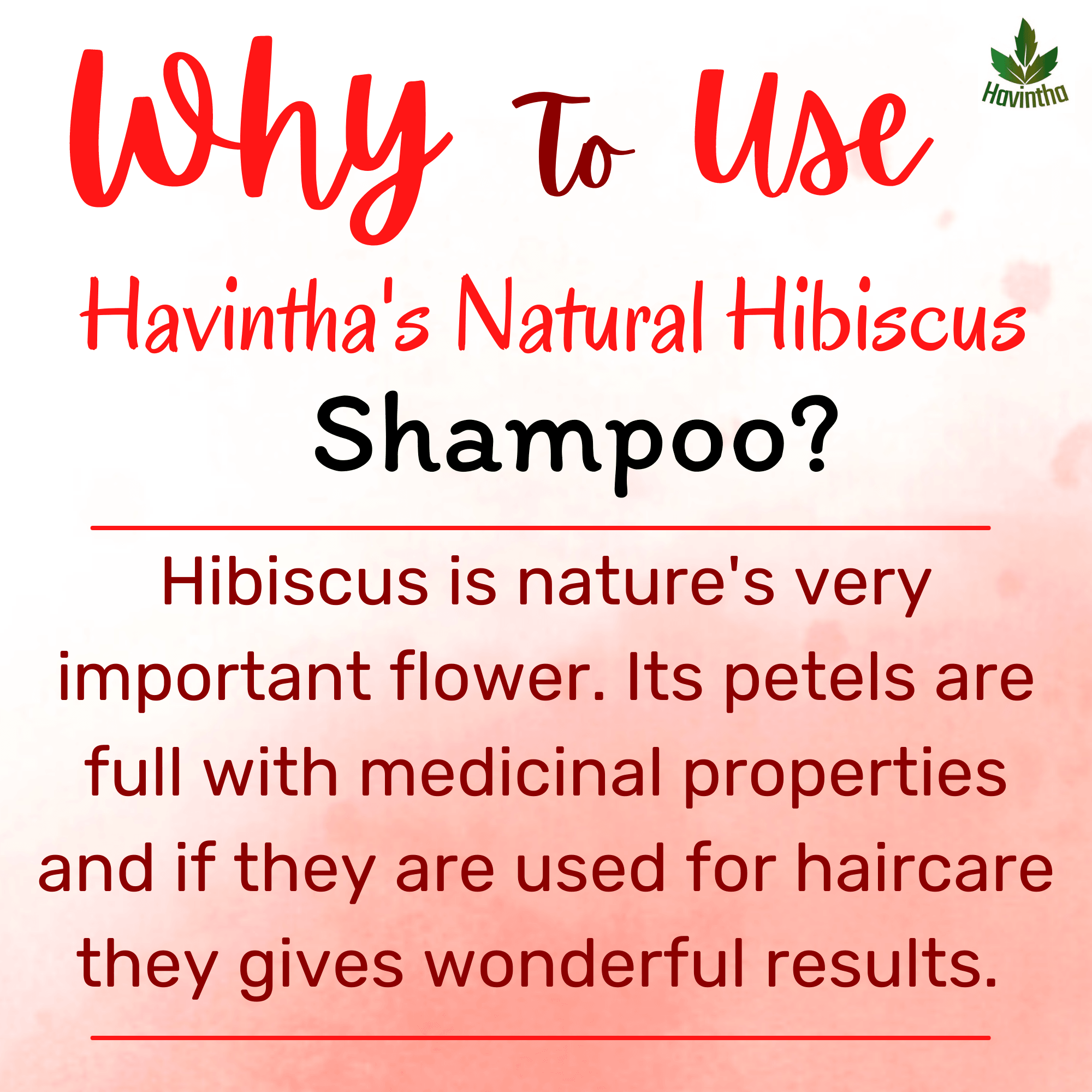 Natural Hibiscus Powder Shampoo | Prevents Hair Fall & Nourishes Lifeless Hair | for Overall Hair Growth | Men & Women (227g)