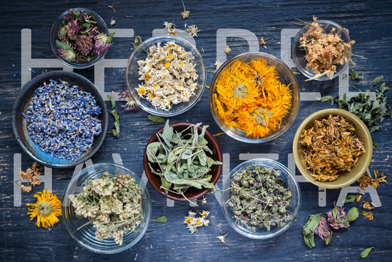 Herbal Products: How important are they for healthy living?