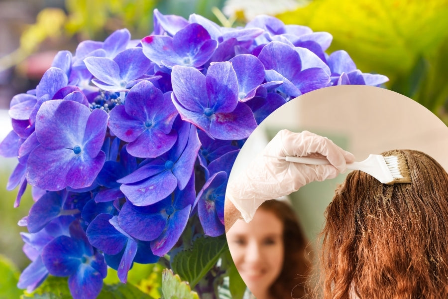 Unlock Vibrant Hair Colors Naturally: Explore the Wonders of Natural Indigo Powder