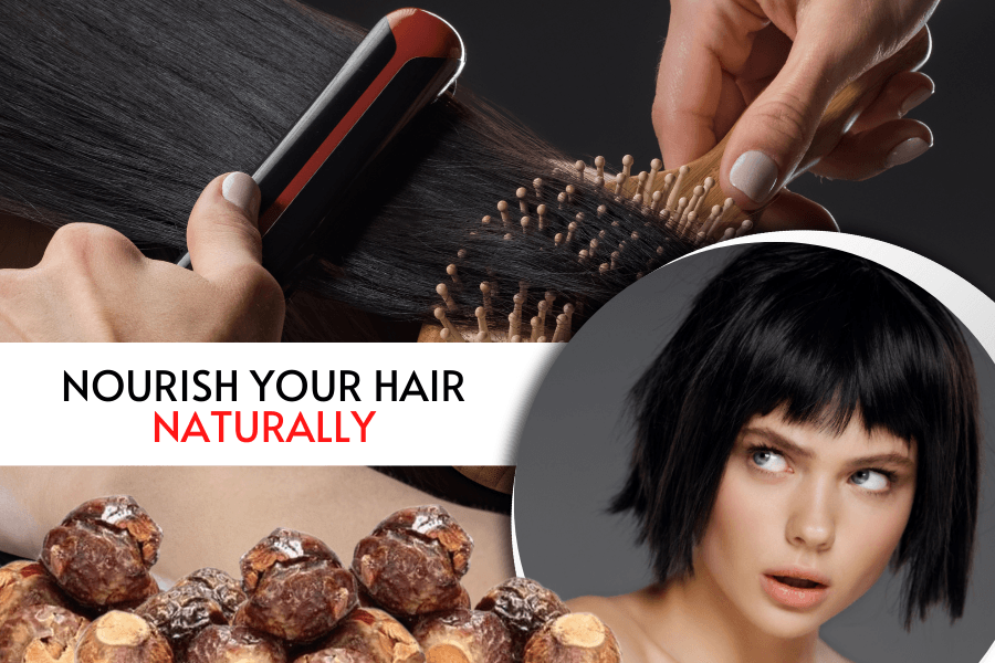 Reetha based natural & organic Hair Shampoo for perfect haircare