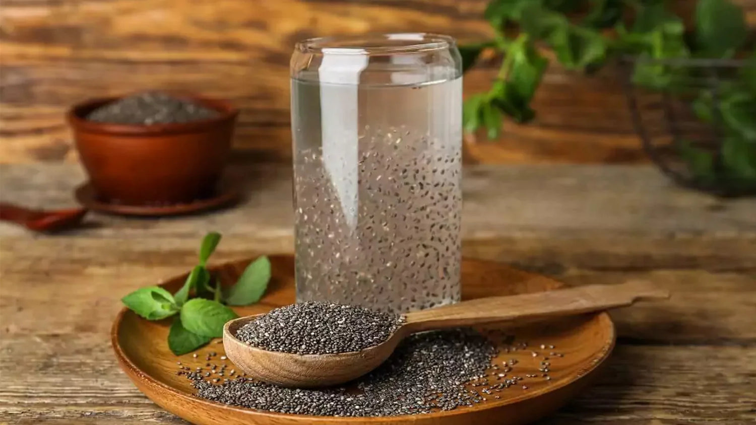 Mighty Health and Wellness Benefits of Tiny Looking Chia Seeds