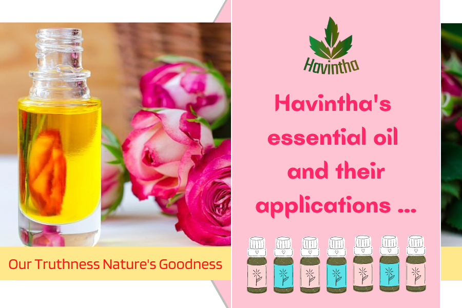 Havintha's essential oils and their applications ..