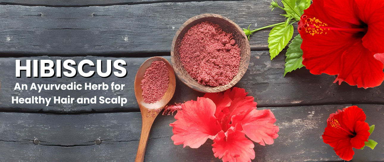 Hibiscus: An Ayurvedic Herb for Healthy Hair and Scalp
