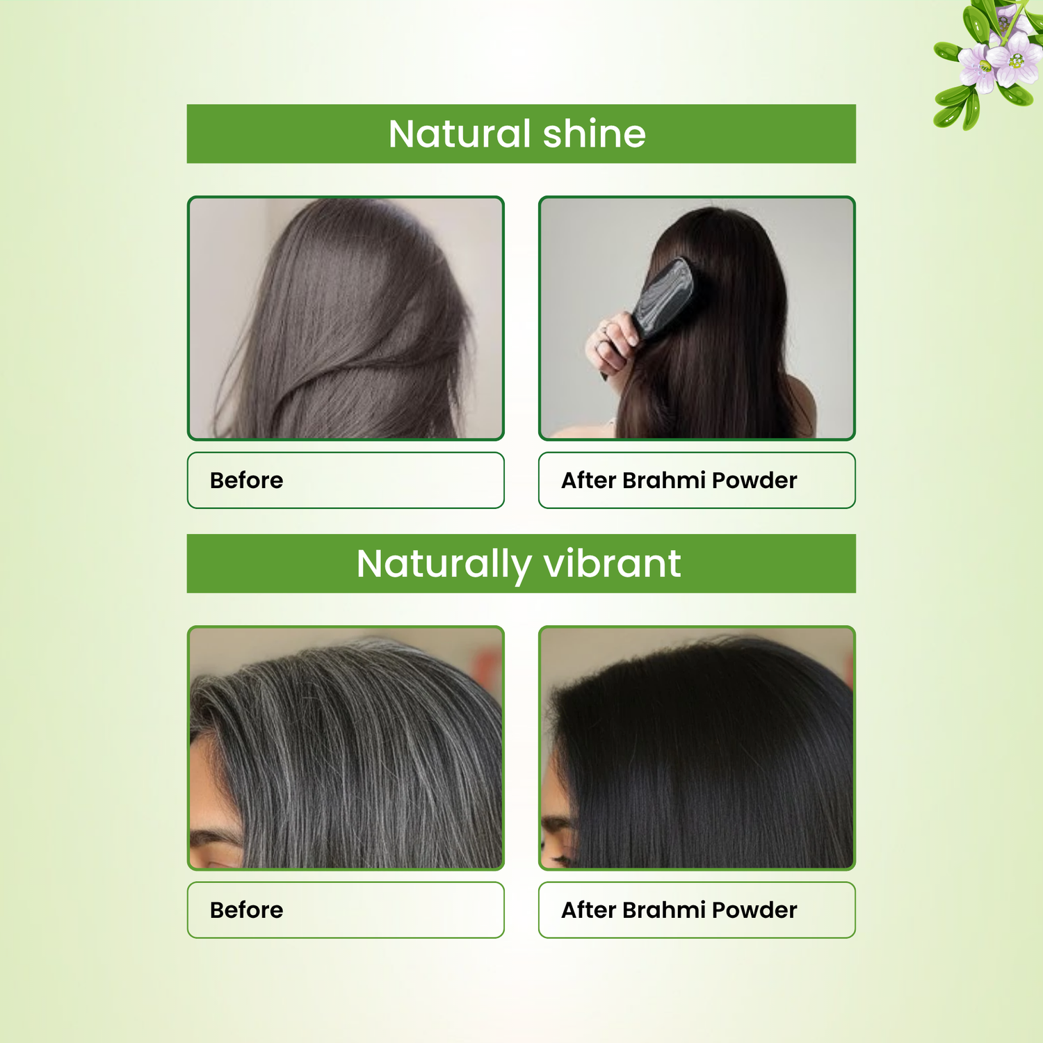 Havintha Natural Brahmi Powder for hair growth and Scalp Treatment- 250 gram