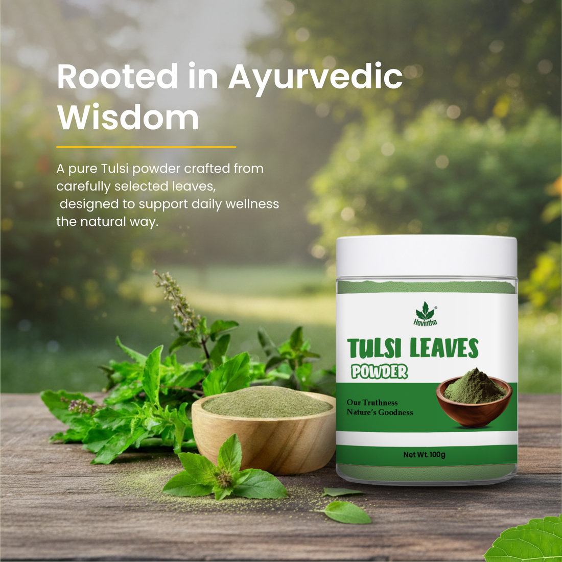Havintha Natural Tulsi Powder | Good For Health &amp; Hair Care | 100 Grams (JAR)