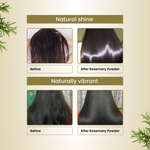 Havintha Natural Rosemary Powder For Shiny Hair|Rosemary powder for hair growth| Men & Women - 100gm