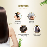 Havintha Natural Whole Rosemary Leaves | Rosemary Dried Leaves For Hair Growth | Premium Quality- JAR -200g