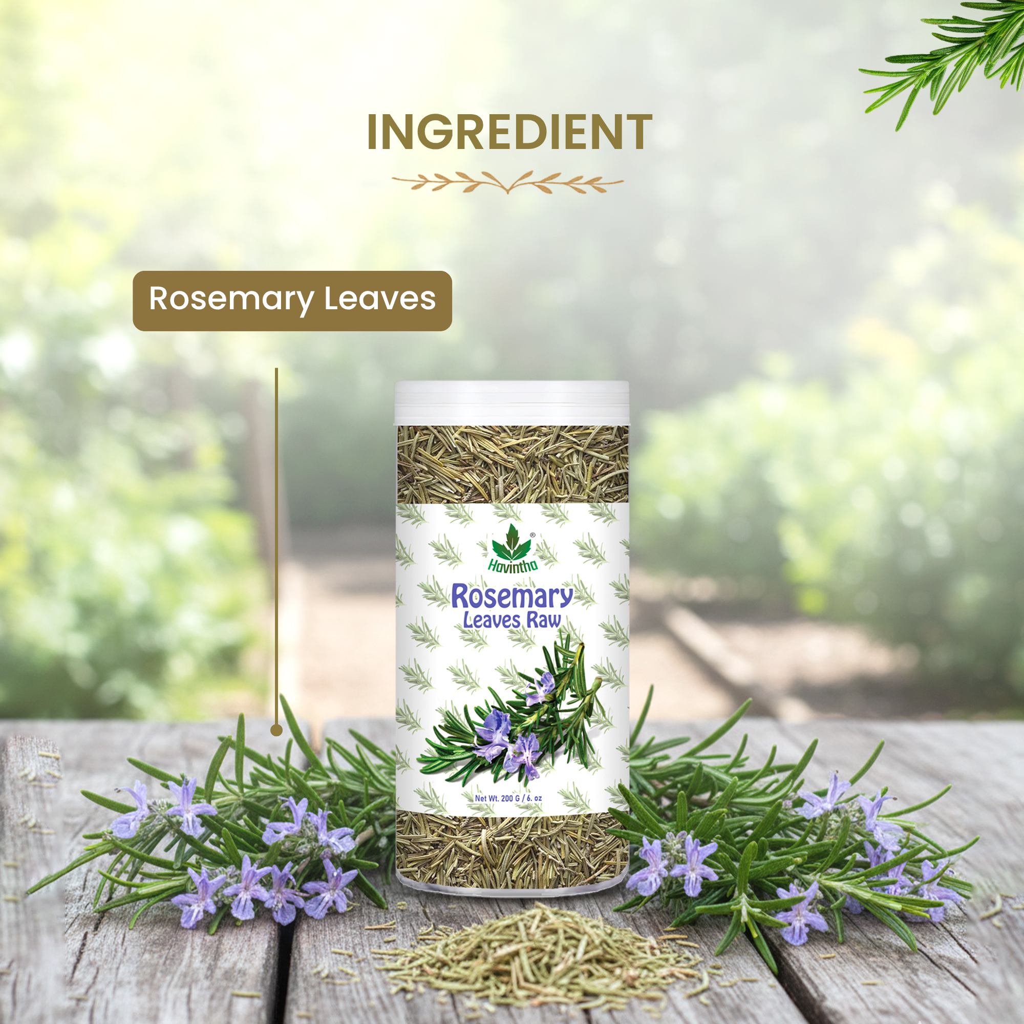 Havintha Natural Whole Rosemary Leaves | Rosemary Dried Leaves For Hair Growth | Premium Quality- JAR -200g