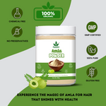 Havintha Natural Amla Powder 250g | Ayurvedic Amla Powder for Healthy Hair & Skin