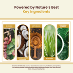 Havintha Premium Herbal Hair Shampoo 200g | Anti Hair Fall & Anti Dandruff | Sulfate-Free Foaming Shampoo with Shikakai, Aloe Vera, Methi & Spirulina for Strong, Thick & Healthy Hair