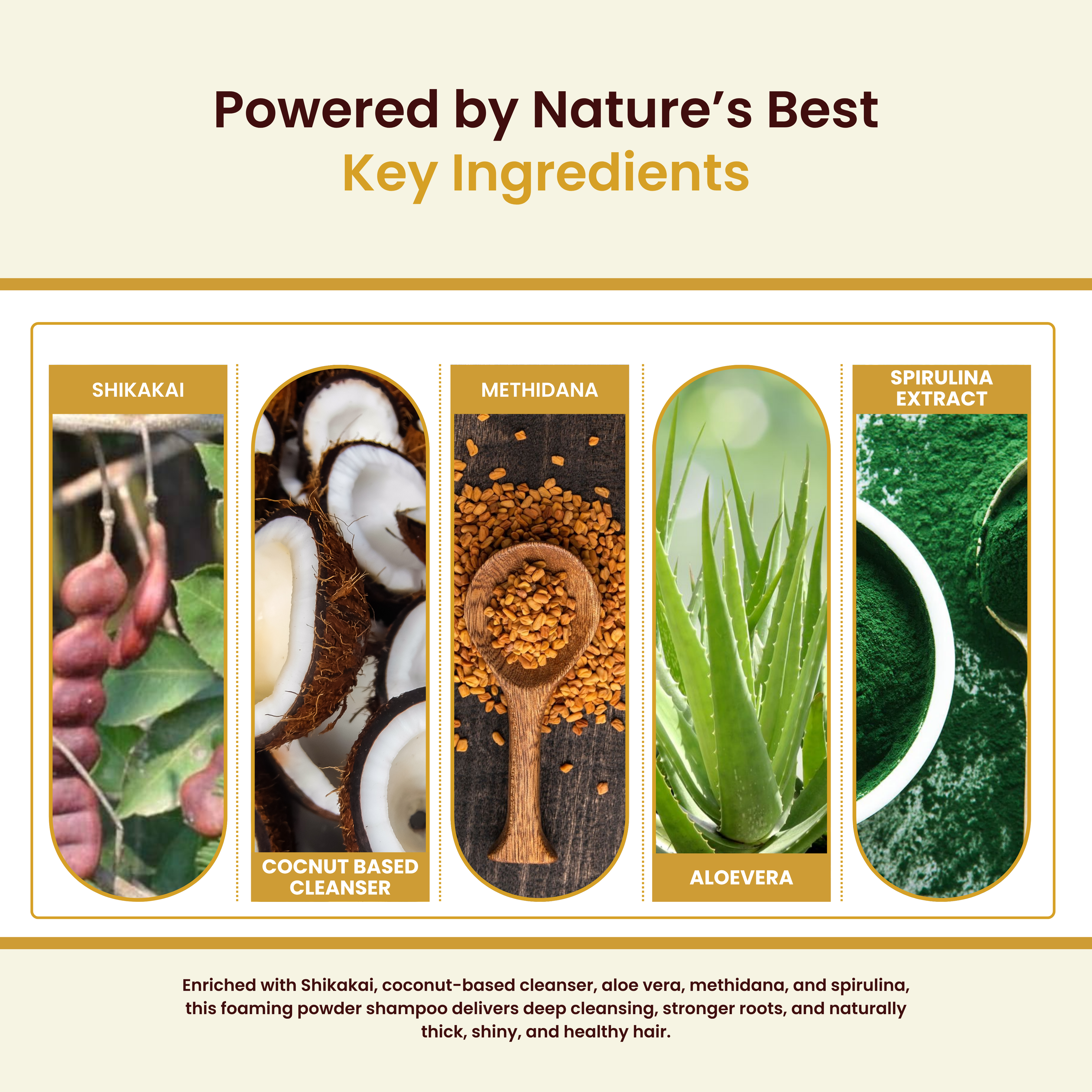 Havintha Premium Herbal Hair Shampoo 200g | Anti Hair Fall &amp; Anti Dandruff | Sulfate-Free Foaming Shampoo with Shikakai, Aloe Vera, Methi &amp; Spirulina for Strong, Thick &amp; Healthy Hair