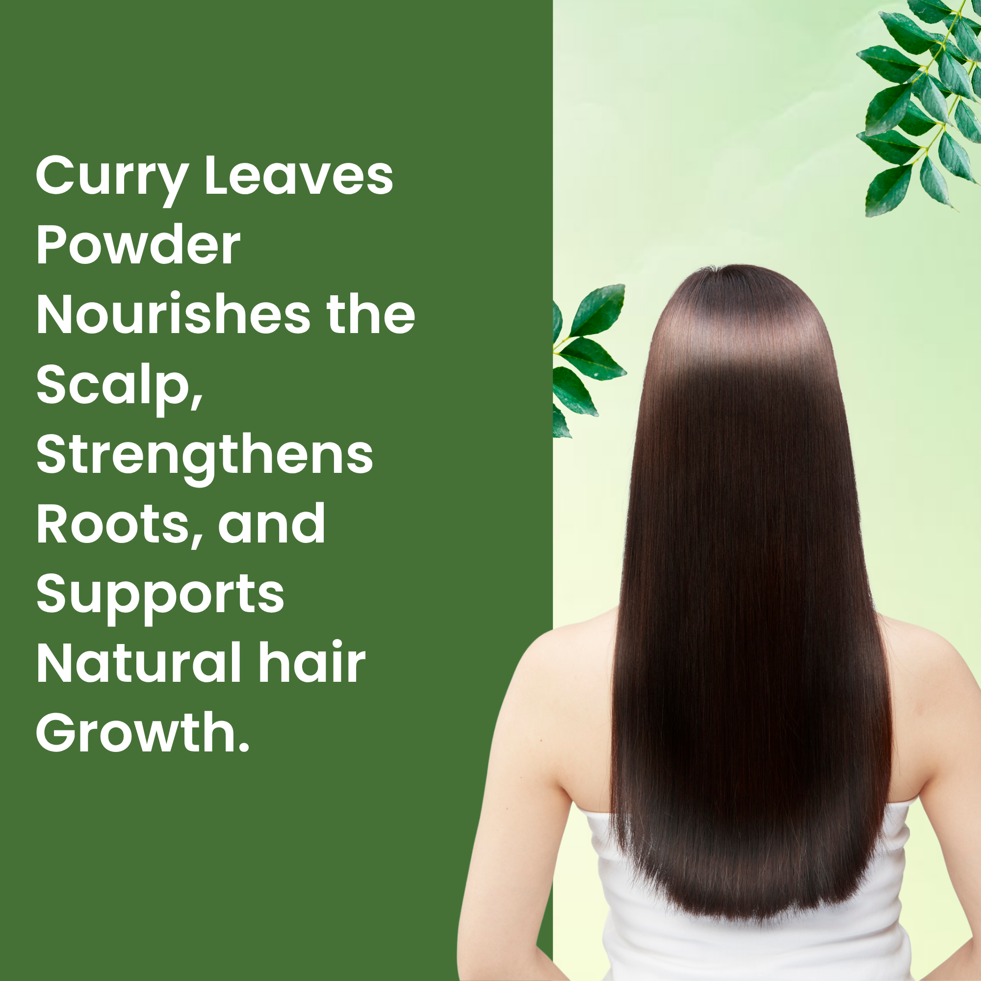 Havintha Curry Patta (Murraya koenigii) Natural Dry Curry Leaves Powder for Long, Strong and Shiny Hair - 100gm