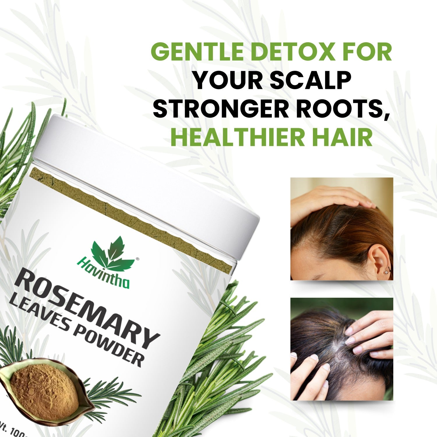 Havintha Natural Rosemary Powder For Shiny Hair|Rosemary powder for hair growth| Men &amp; Women - 100gm