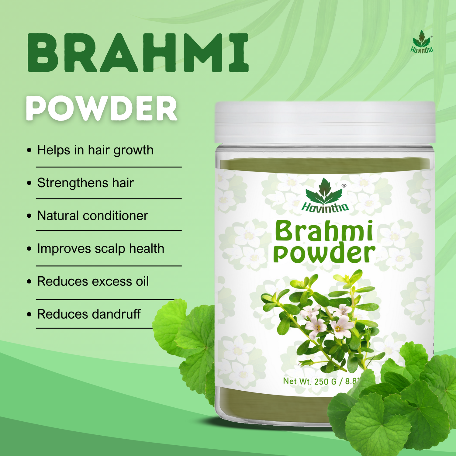 Havintha Brahmi Powder | For Good Health &amp; Haircare | 250 Grams (JAR)