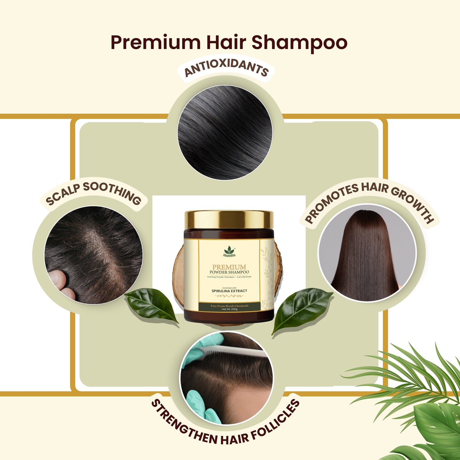 Havintha Premium Hair Shampoo 200g with Spirulina |Herbal Formula for Thick, Healthy Hair