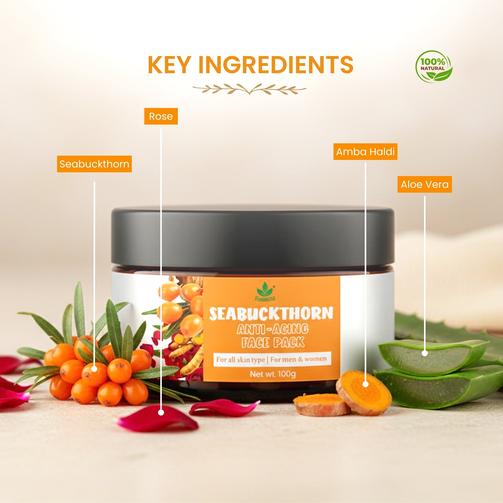 Havintha Seabuckthorn Anti-Aging Face Pack – Herbal Blend for Youthful, Glowing Skin - 100 gm for Men &amp; Women