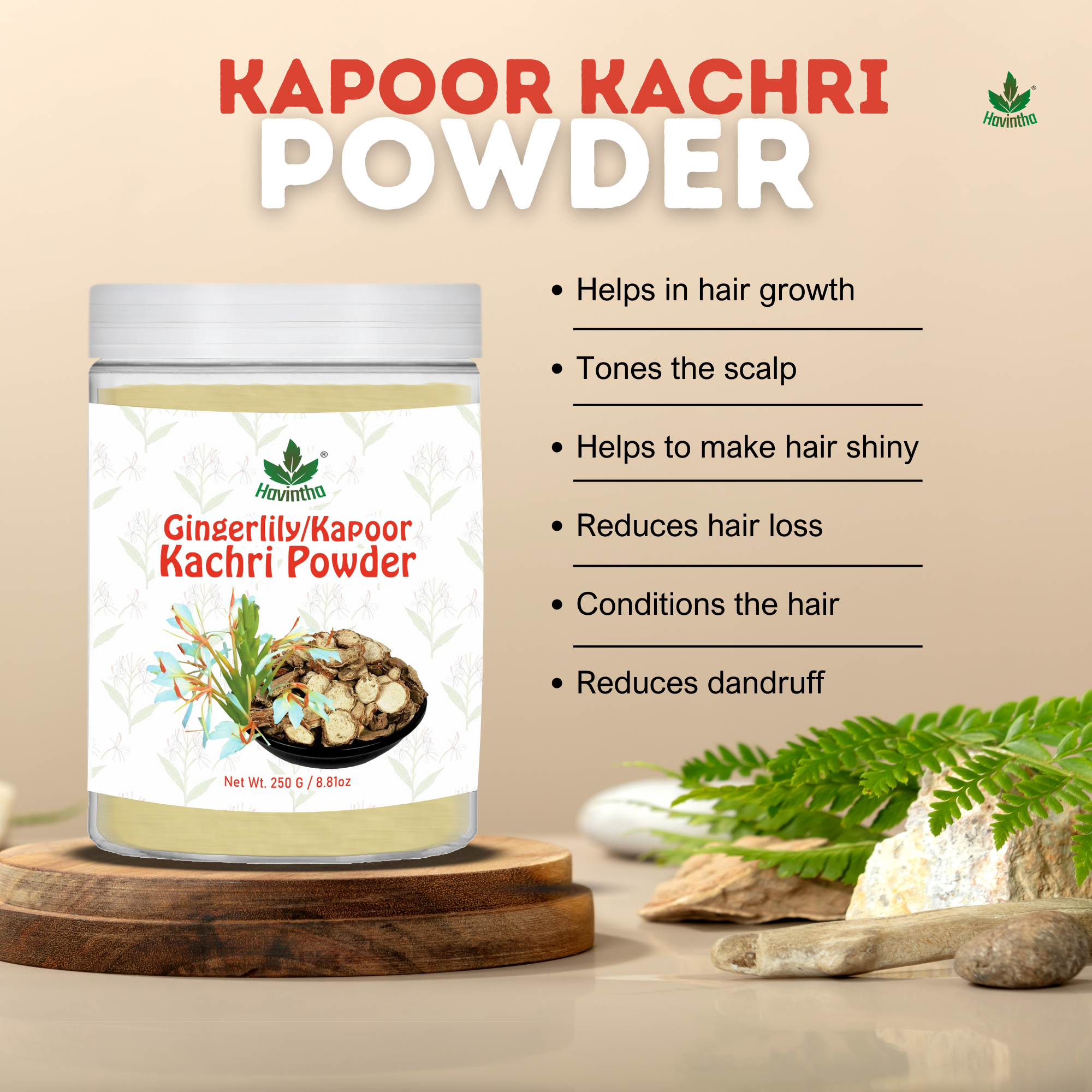 Havintha Natural Kapoor Kachri Powder | For Hair Growth |  For Dandruff &amp; Scalp Infection  | 250 Grams (JAR)