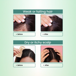 Natural Bhringraj and Brahmi Powder Shampoo | Fights Dandruff & Deeply Moisturizes Hair | Men & Women (227g)