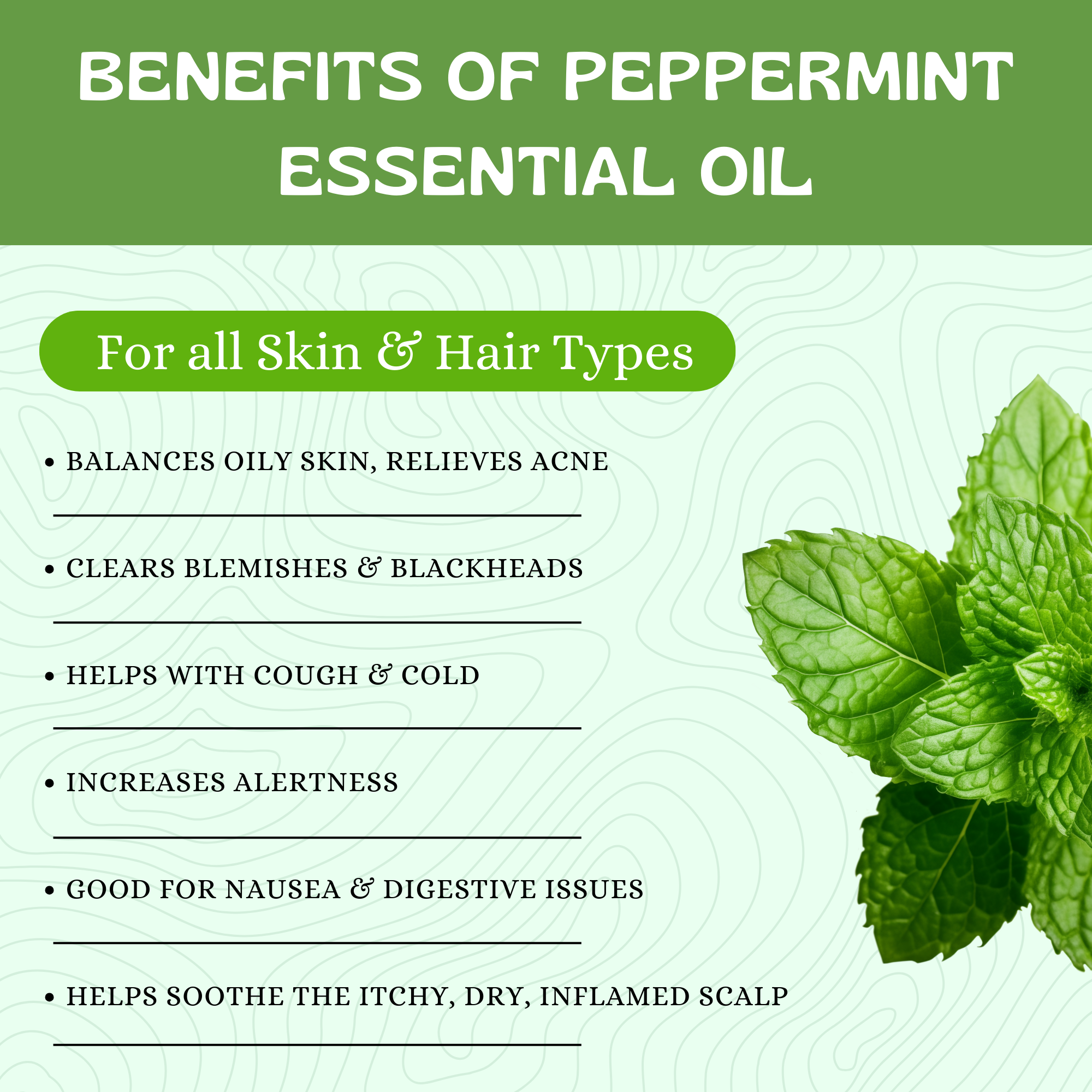 Havintha Peppermint Essential Oil (Mentha Piperita) Pure Aroma for Skin, Hair and Aromatherapy For Cold and Congestion - 15ml.