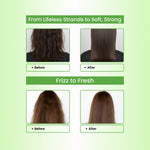 Natural Aloevera Powder Shampoo | for Oily Hair | Men & Women (227g)