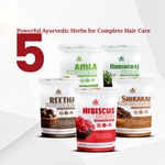 Havintha Amla, Reetha, Shikakai, Bhringraj and Hibiscus powder for Hair care (each 50 gram )