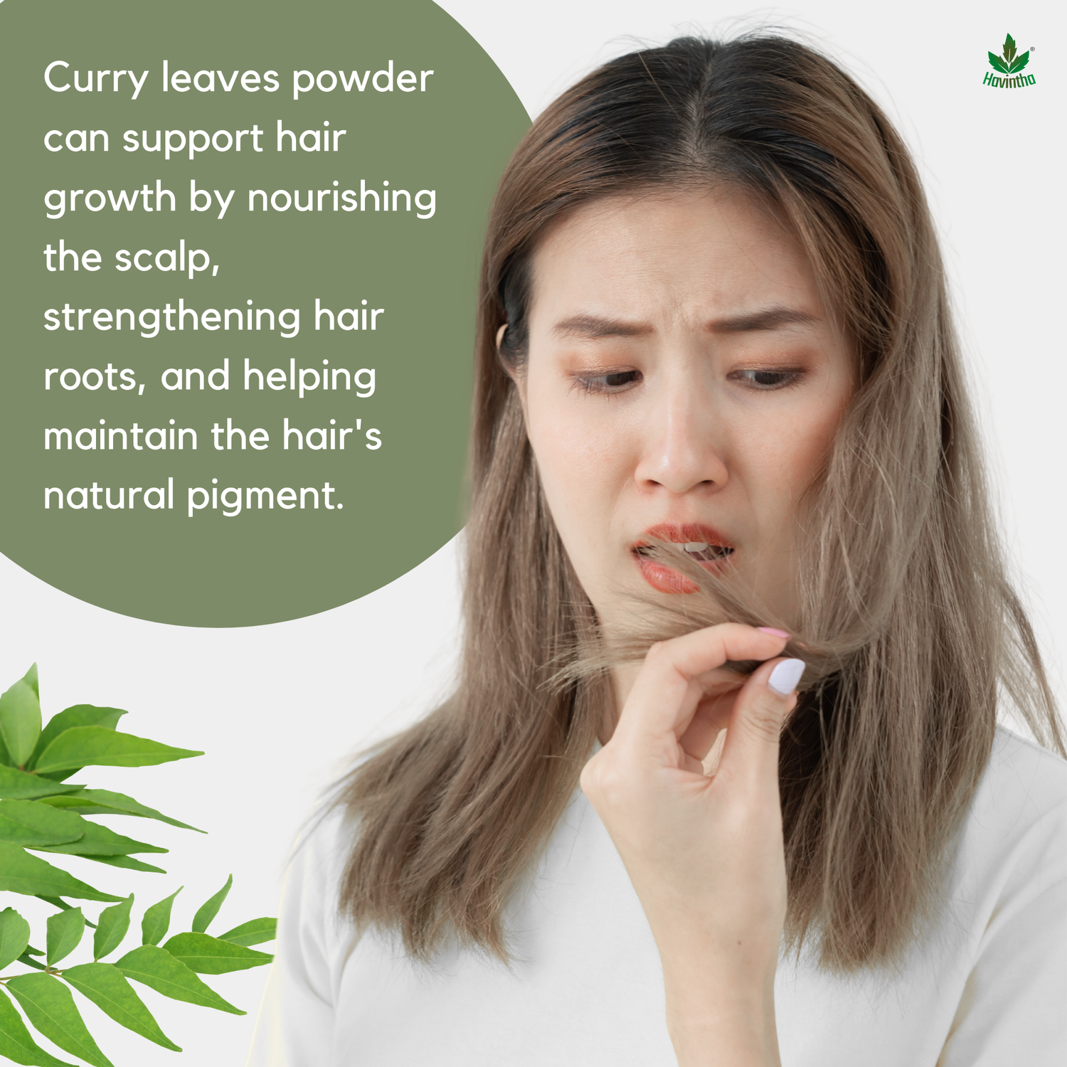 Havintha Curry Leaves Powder | For Strong &amp; Healthy Hair |  250 Grams (JAR)