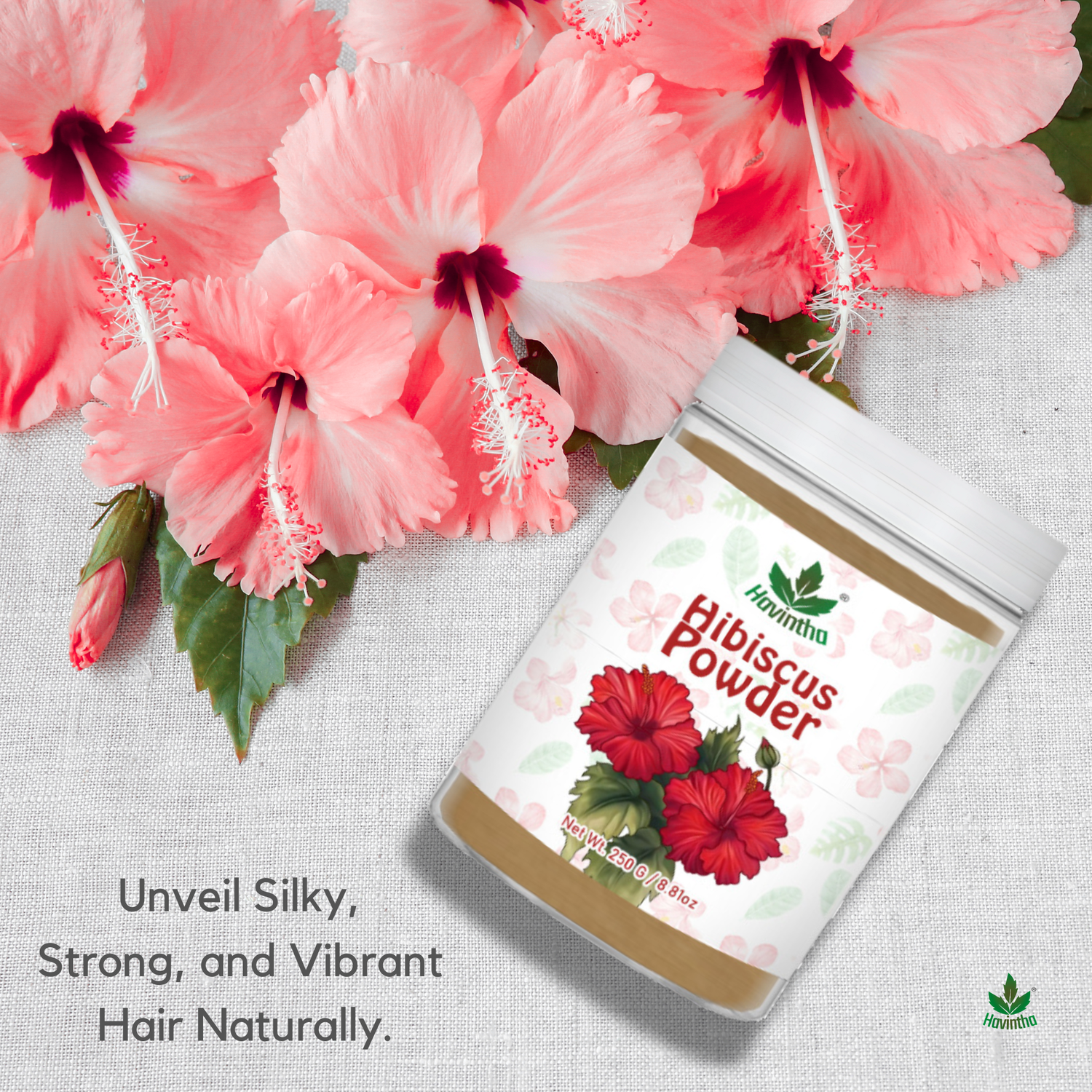 Havintha Natural Hibiscus Powder For Shiny Hair | For Strong Hair | Men &amp; Women - 250 Grams (JAR)