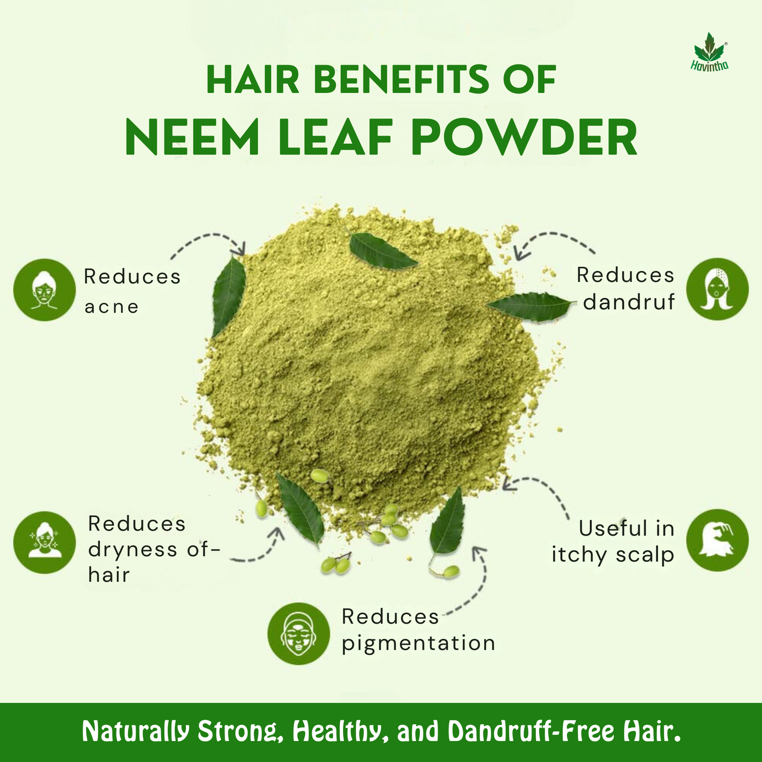 Havintha Natural Neem Powder | For Antioxidant Benefits | For Hair &amp; Skin Care | 250 Grams (JAR)