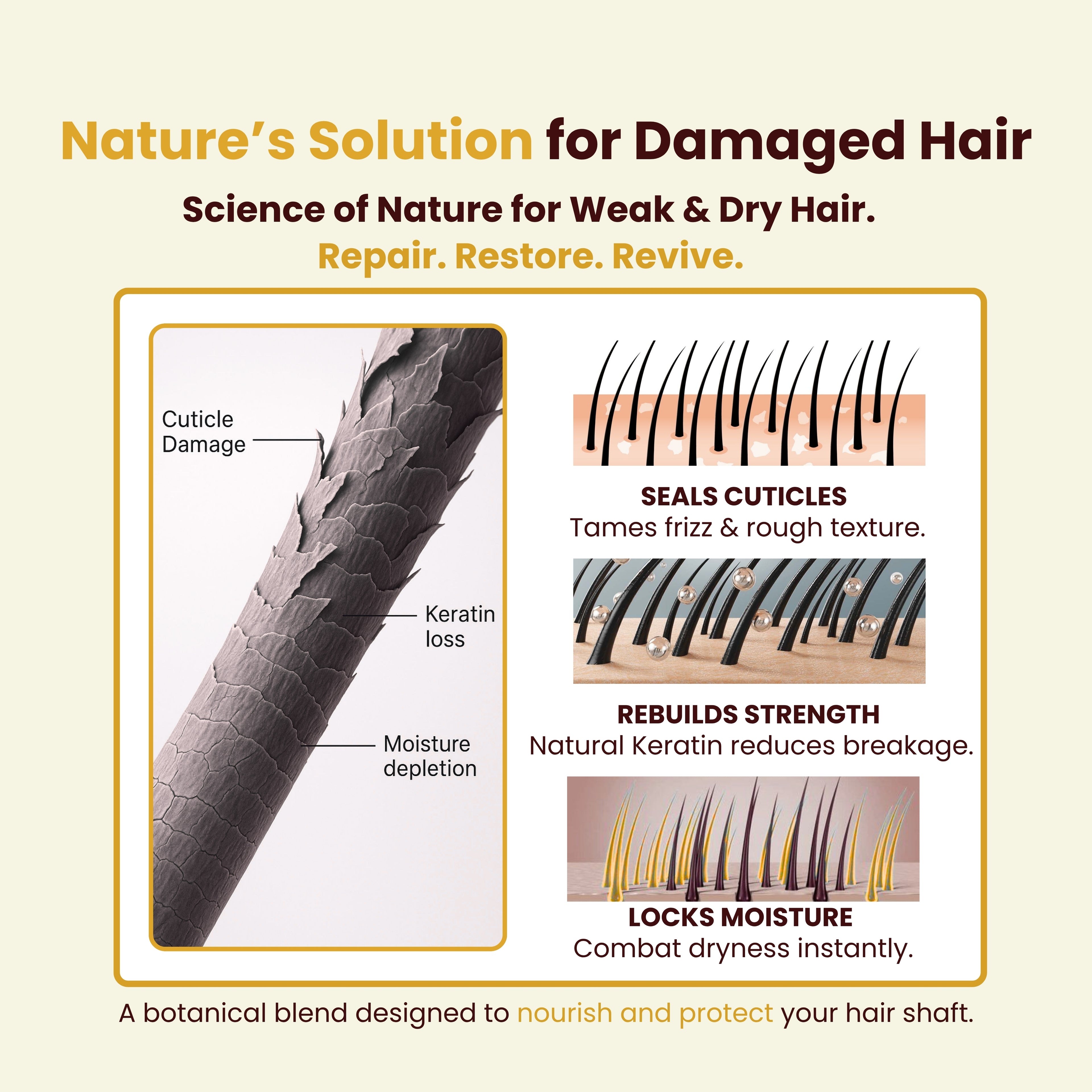 Havintha Premium Shampoo &amp; Conditioner Combo with Shikakai, Aloe Vera &amp; Keratin, 200g Each