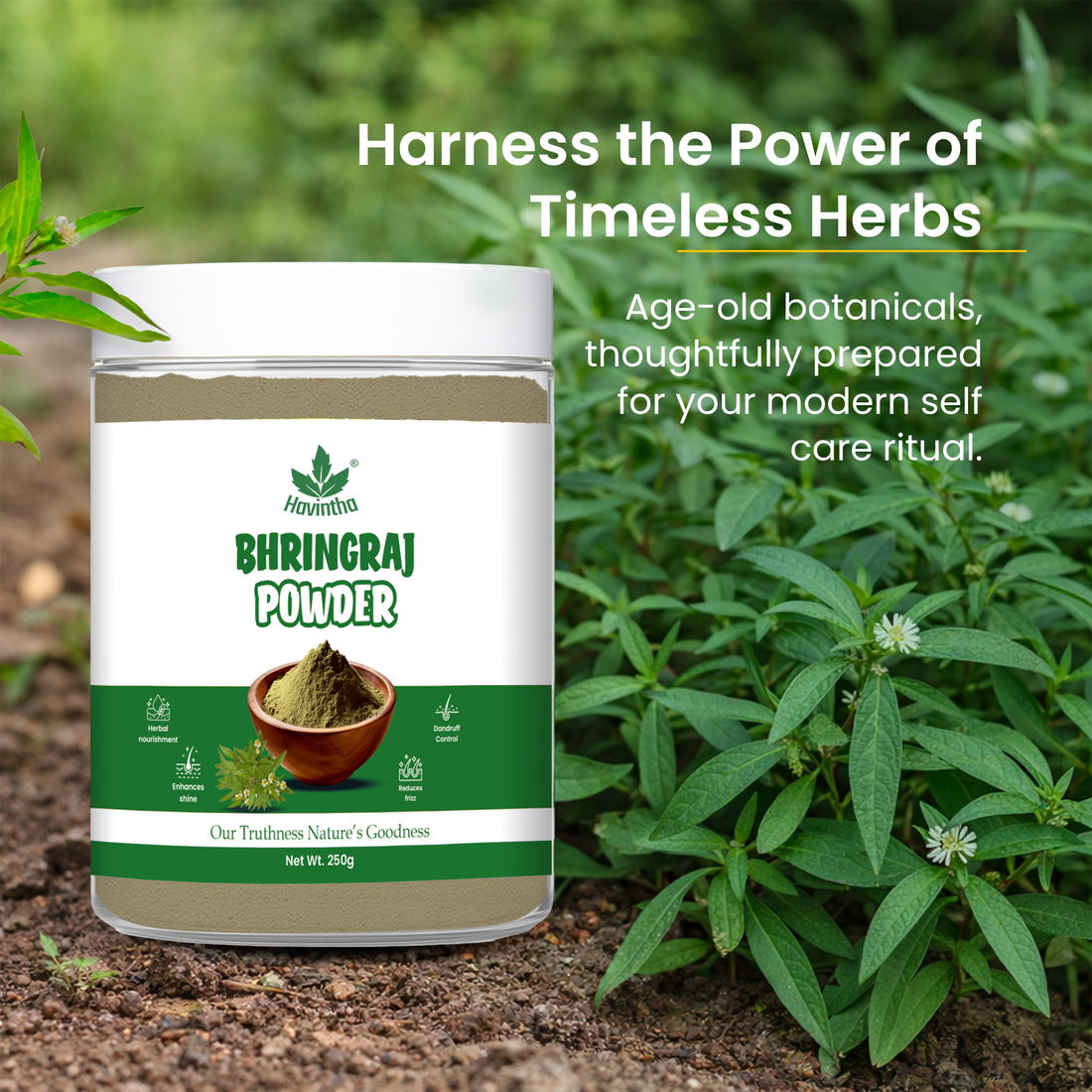 Havintha Natural Bhringraj Powder | For Strong &amp; Silky Hair | 250 Grams (JAR)