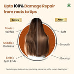 Natural Hair Shampoo (500g) for Scalp Clean & Hair Growth | Jata Amrit Hair Oil (100ml) for Nourishment & Shine | For Men & Women