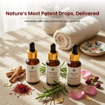 Havintha Special Essential Oil Combo | Rosemarry, Rose and Kumkumadi | for Hair and Skin